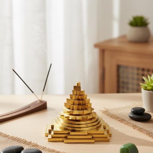 WhatsApp Image 2026-03-31 at 1.03.45 PM